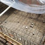 pool installation, manning pool service