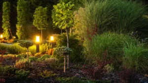 landscape lighting backyard